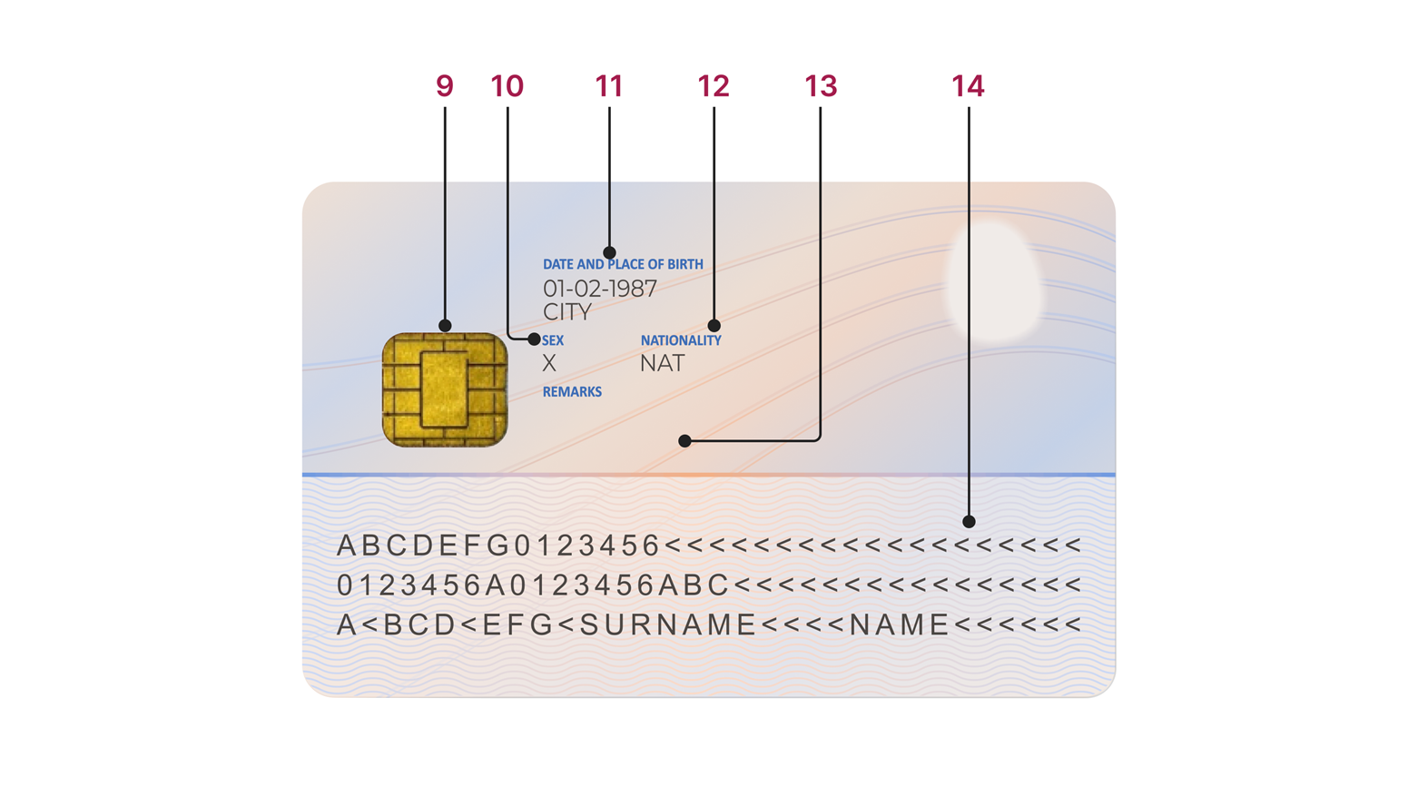 Illustration of a BRP back copy